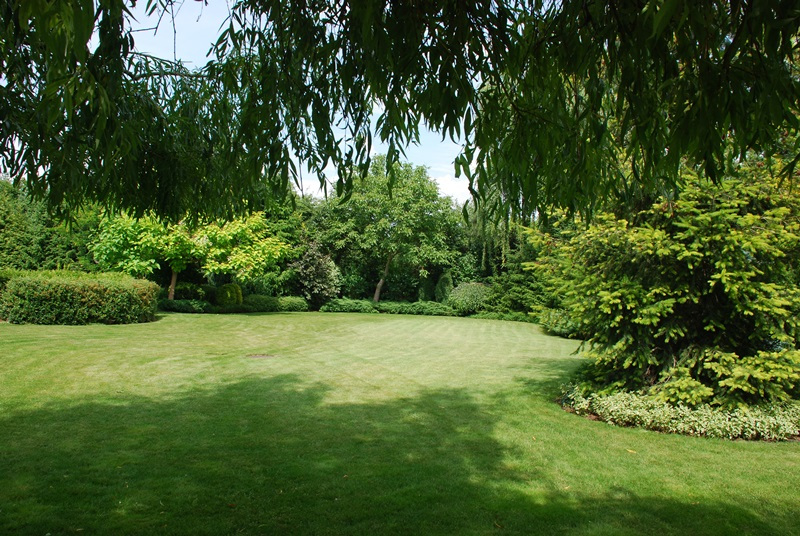 Mooie-tuin-aangelegd-door-Aannemersbedrijf-Peelen-met-levendige-planten-kleurrijke-bloemen-en-gezond-gazon-voor-een-ideale-buitenruimte-om-te-genieten